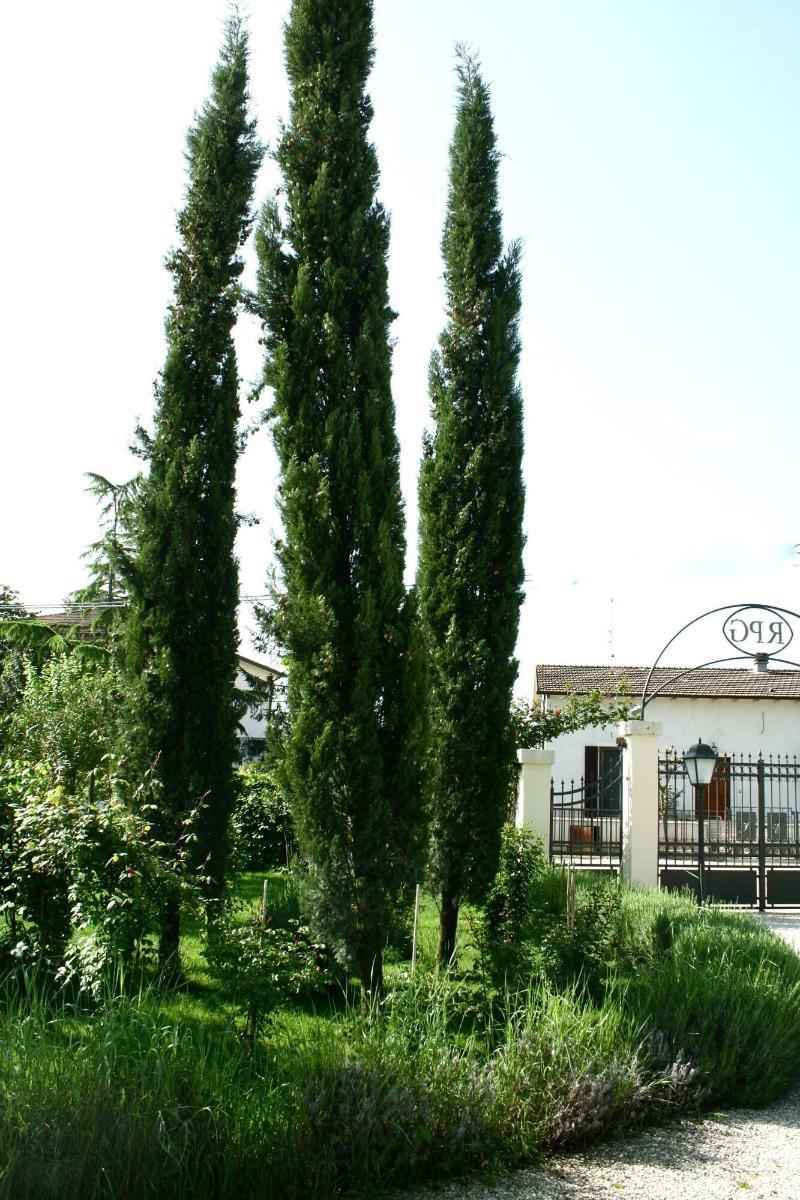 Gasthaus Residenza Porta Guelfa Bevagna Exterior foto